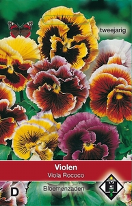 Viola x wittrockiana Rococo