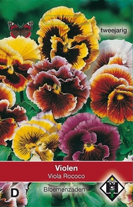 Viola x wittrockiana Rococo