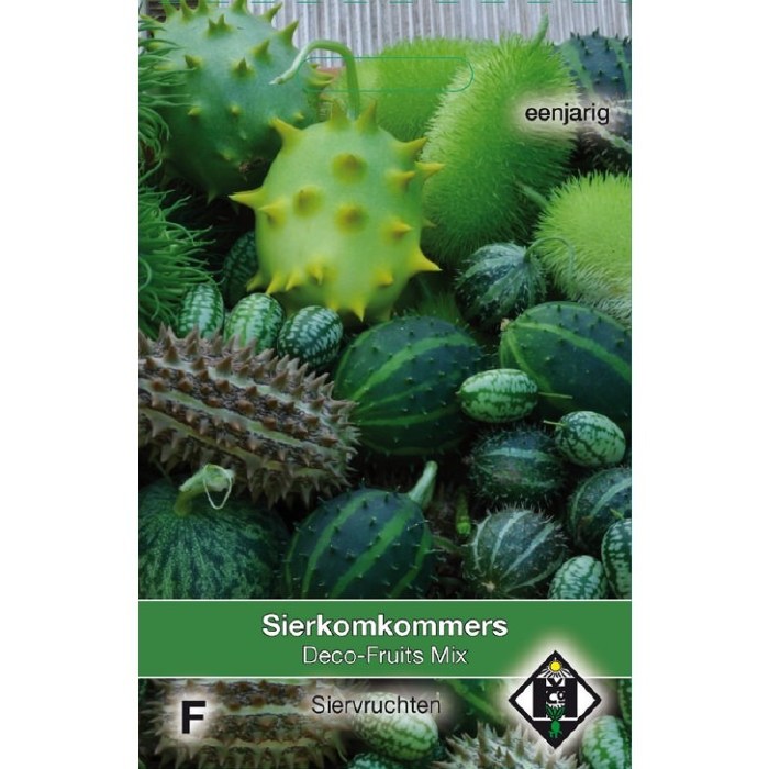 Komkommer Sier Cucumis Deco-Fruits Mix  (pompoenachtige)