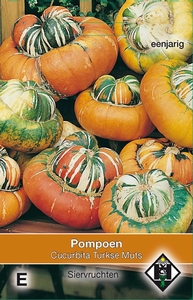 Cucurbita maxima Turkse Muts   (pompoenachtige)