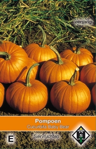 Cucurbita pepo Baby Bear   (pompoenachtige)