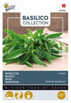 Citroen Basilicum, Basilico