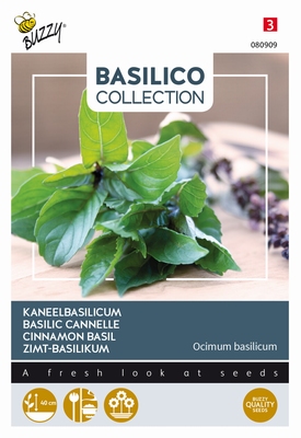 Kaneel Basilicum, Basilico