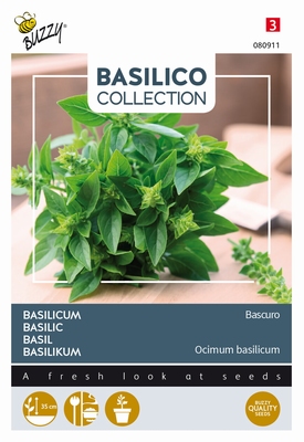Balisico Basilicum Bascuro fijnbladig, Basilico