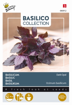 Basilicum violet paars zacht van smaak, Basilico