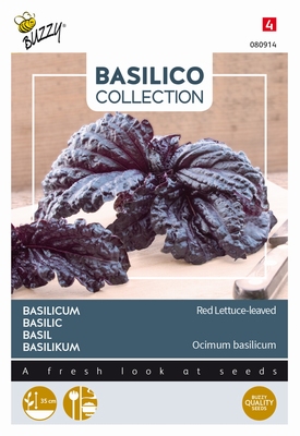 Basilicum slabladig paars, Basilico