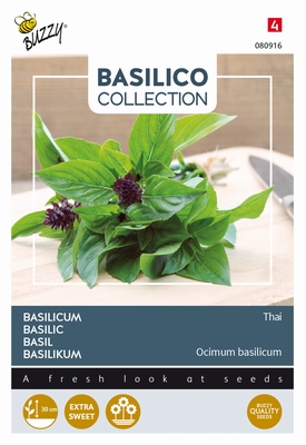 Thaise Basilicum, Basilico