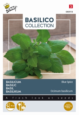 Basilicum Sainto,  Blue spice