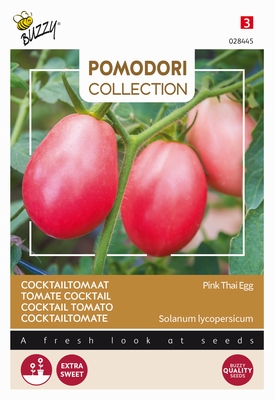 Cocktailtomaat Pink Thai Egg, wit naar lichtroze, lage plant