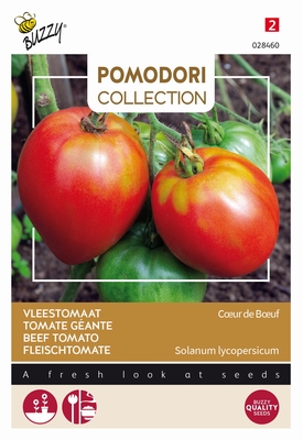 Vleestomaat Ossenhart,   Coeur de Boeuf, grote tomaten