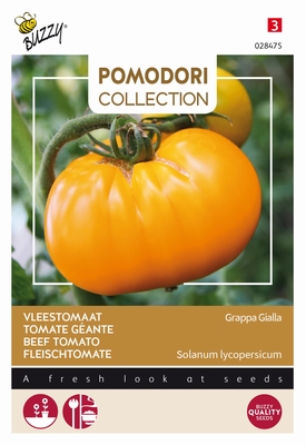 Vleestomaat Brandywine Yellow, gele tomaat, Grappa Gialla