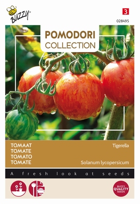 Tomaat Tigerella, rood met groene strepen