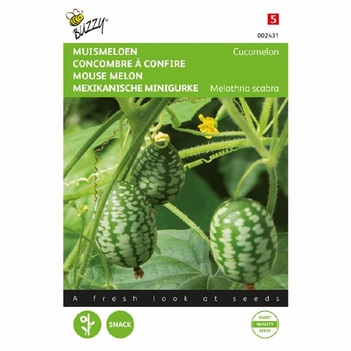 Muismeloen eetbaar mini-meloen (pompoenachtige) Mexicaanse komkommer Cucamelon