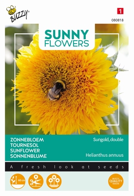 Helianthus Zonnebloemen, Sungold,  border en snijbloem 50cm