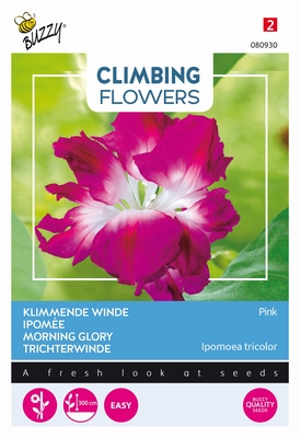 Ipomoea Dubbelboemig rose