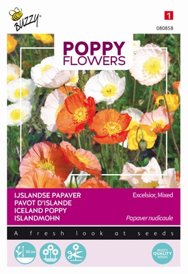 Papaver nudicaule - ijslandse klaproos gemengd