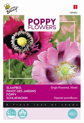 Papaver somniferum - Slaapbol gemengd