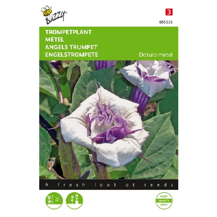 Datura metel, Doornappel  (trompetplant)  - NIEUW