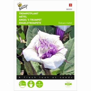 Datura metel, Doornappel  (trompetplant)  - NIEUW
