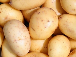 Eerstelingen zeer vroege aardappel, vastkoker 1 kg