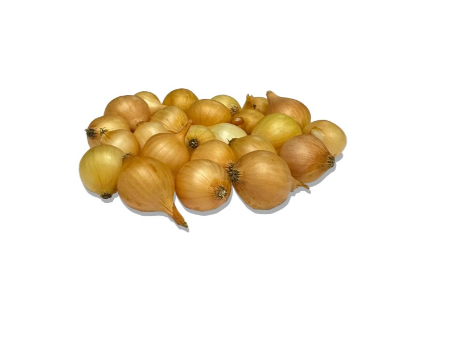 Plantui, Stuttgarter Riesen, gewone grote ui  500gr