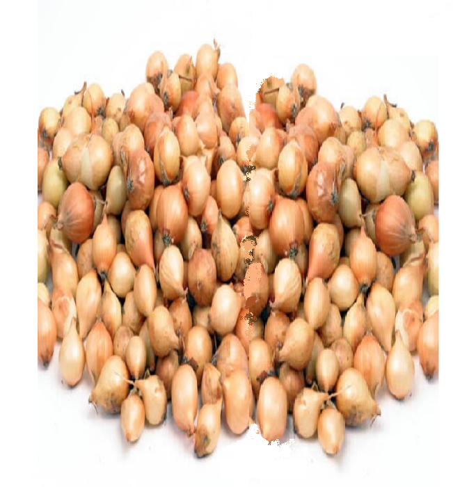 Plantui, Sturon  500gr zeer goed bewaarbaar
