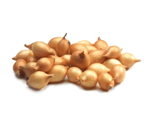 Plantui, Sturon  grote bewaarui, 500gr zeer goed bewaarbaar