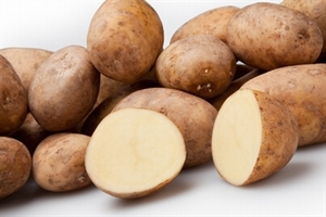 Frieslanders zeer vroege aardappel, vastkoker 1 kg