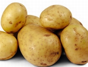 Doré zeer vroege aardappel, kruimig met volle smaak 1 kg