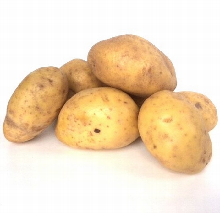 Agria middellate aardappel, kruimige 2,5 kg
