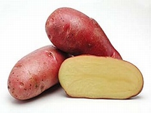 Rode  Roseval, rode  middenvroege aardappel, vast 1 kg