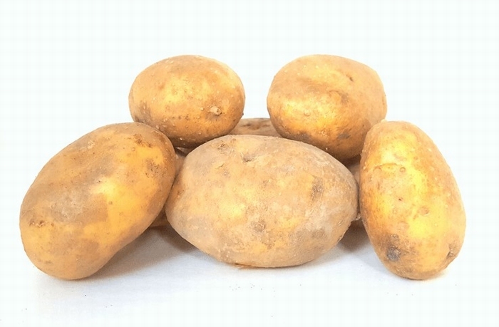 Bio aardappel  Ditta middelvroeg vastkoker  1 kg