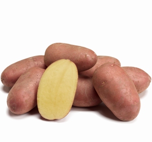 Bio aardappel, Alouette (rode) vrij laat vastkoker 1 kg