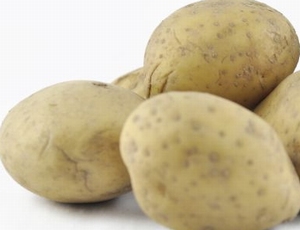 Bio aardappel  Carolus  (gele) midvroeg, kruimig 1 kg