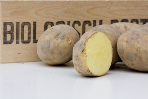 Bio aardappel  Sevilla (geel) middenlaat, kruimig 1 kg