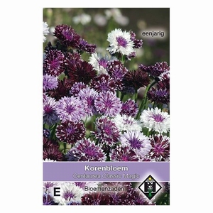 Centaurea Classic Magic - Korenbloem