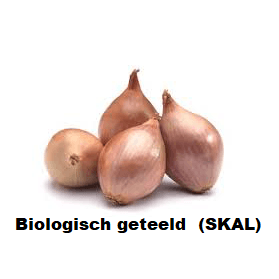 Biologische Sjalotten Red Sun  - NIEUW