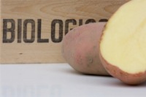 Bio aardappel, Sarpira (rode) vrij laat vastkoker  1 kg