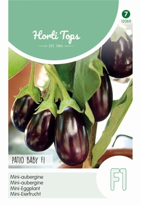 Aubergine   Mini Ophelia/Patio Baby F1 hybride