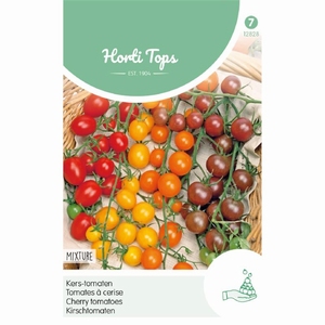 Tomaat  Kerstomaten Cherry - 4 kleuren