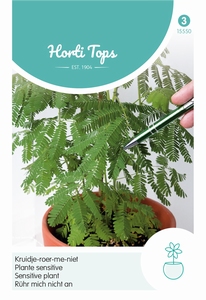 Mimosa Pudica  (Kruidje-Roer-Me-Niet)