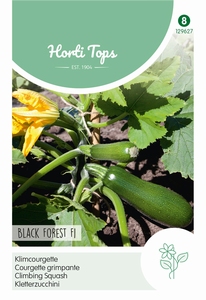 Courgette Klimmende - Black Forest F1  Klimcourgette  NIEUW