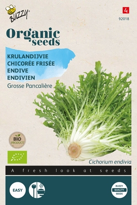 Bio Organic Andijvie Krulandijvie Pancalière  (BIO)