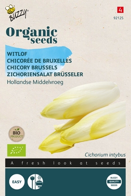 Bio Organic Witlof Middelvroeg  (BIO)
