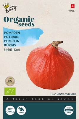 Bio Organic Pompoen Uchiki Kuri  (BIO)