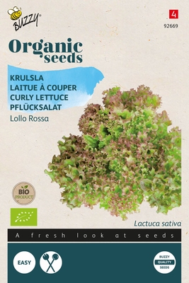 Bio Organic Sla Krulsla Lollo rossa  (BIO)