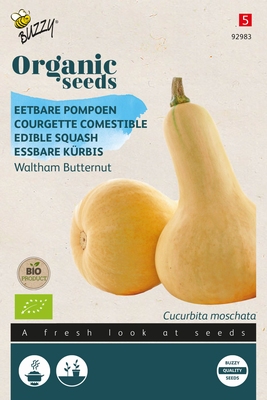Bio Organic Pompoen - Wintersquash Waltham Butternut  (BIO)