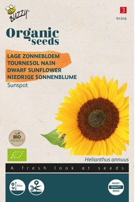 Bio Organic Helianthus annuus type Sunspot  Zonnebloem (BIO)