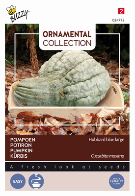 Pompoen Hubbard Large Blue
