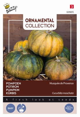 Pompoen courgette Musque De Provence